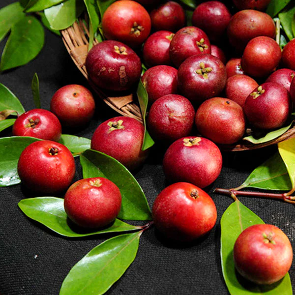 Kokum